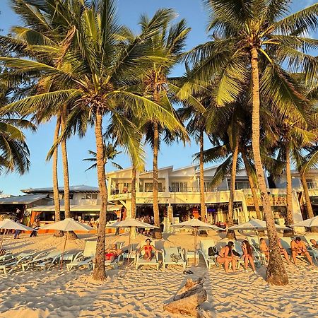 Calypso Beach And Dive Resort Manoc-Manoc Exterior photo